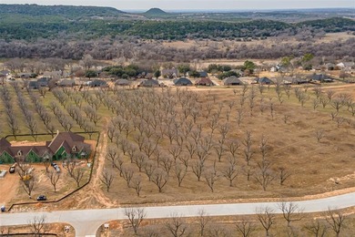 Discover the perfect blend of country living and community on Pecan Plantation Country Club in Texas - for sale on GolfHomes.com, golf home, golf lot