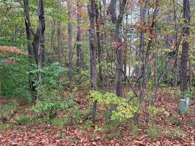 Custom build your home on the .26 acre lot in beautiful on Fairfield Plantation Golf and Country Club in Georgia - for sale on GolfHomes.com, golf home, golf lot