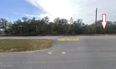 Discover an incredible opportunity to own ONE of three on Sunny Hills Golf and Country Club in Florida - for sale on GolfHomes.com, golf home, golf lot