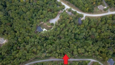 Level, buildable lot in excellent location! Minutes to Back 40 on Bella Vista - Metfield Golf Complex and Country Club in Arkansas - for sale on GolfHomes.com, golf home, golf lot