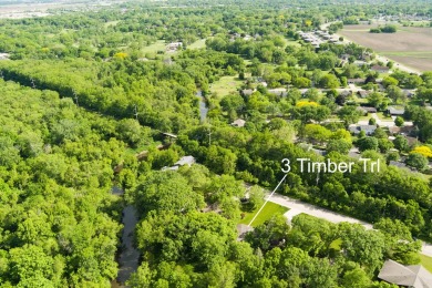 Spacious Riverview Ranch Retreat with Prime Access and on Buena Vista Golf Course in Illinois - for sale on GolfHomes.com, golf home, golf lot