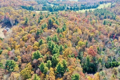 This is a unique opportunity to purchase a large, secluded lot on Skyland Lakes Golf Course in Virginia - for sale on GolfHomes.com, golf home, golf lot