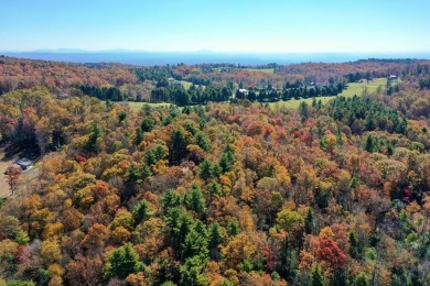 This is a unique opportunity to purchase a large, secluded lot on Skyland Lakes Golf Course in Virginia - for sale on GolfHomes.com, golf home, golf lot