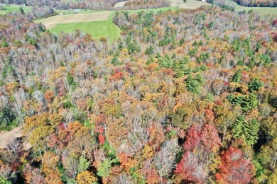 This is a unique opportunity to purchase a large, secluded lot on Skyland Lakes Golf Course in Virginia - for sale on GolfHomes.com, golf home, golf lot