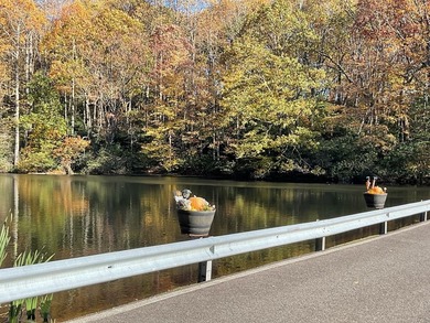 This is a unique opportunity to purchase a large, secluded lot on Skyland Lakes Golf Course in Virginia - for sale on GolfHomes.com, golf home, golf lot
