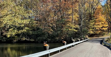 This is a unique opportunity to purchase a large, secluded lot on Skyland Lakes Golf Course in Virginia - for sale on GolfHomes.com, golf home, golf lot