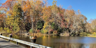 This is a unique opportunity to purchase a large, secluded lot on Skyland Lakes Golf Course in Virginia - for sale on GolfHomes.com, golf home, golf lot