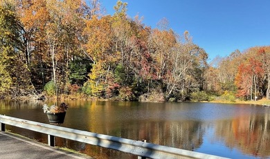 This is a unique opportunity to purchase a large, secluded lot on Skyland Lakes Golf Course in Virginia - for sale on GolfHomes.com, golf home, golf lot