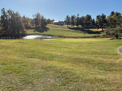 This is a unique opportunity to purchase a large, secluded lot on Skyland Lakes Golf Course in Virginia - for sale on GolfHomes.com, golf home, golf lot