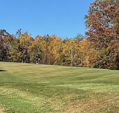 This is a unique opportunity to purchase a large, secluded lot on Skyland Lakes Golf Course in Virginia - for sale on GolfHomes.com, golf home, golf lot