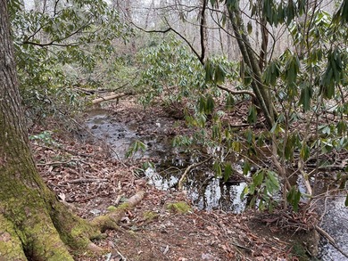 This is a unique opportunity to purchase a large, secluded lot on Skyland Lakes Golf Course in Virginia - for sale on GolfHomes.com, golf home, golf lot