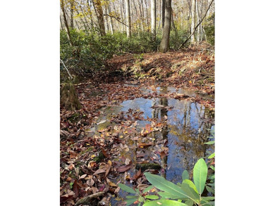 This is a unique opportunity to purchase a large, secluded lot on Skyland Lakes Golf Course in Virginia - for sale on GolfHomes.com, golf home, golf lot