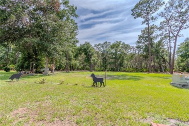 Nestled in the heart of Central Florida, this well-kept home in on Country Club of Mount Dora in Florida - for sale on GolfHomes.com, golf home, golf lot