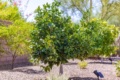 ASSUMABLE 4.25% VA LOAN! Stunning Brasada floor plan in on Vista Verde Golf Course in Arizona - for sale on GolfHomes.com, golf home, golf lot