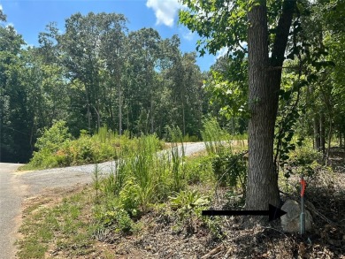 Nice Interior Lot on Broadway Lake in Anderson County.  Although on Pine Lake Golf Club in South Carolina - for sale on GolfHomes.com, golf home, golf lot