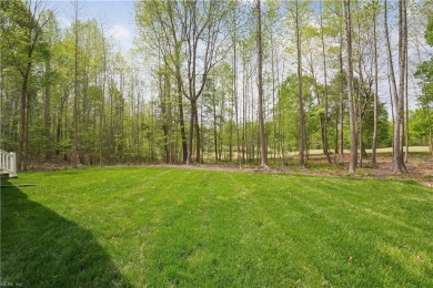 MOVE-IN READY with SPECIAL PRICING! Welcome to the Pennington in on The Club At Viniterra in Virginia - for sale on GolfHomes.com, golf home, golf lot