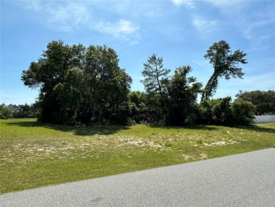 Nice over-sized lot with water in Marion Oaks South. Lot is on Marion Oaks Country Club in Florida - for sale on GolfHomes.com, golf home, golf lot