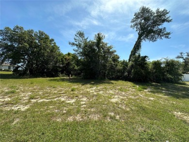 Nice over-sized lot with water in Marion Oaks South. Lot is on Marion Oaks Country Club in Florida - for sale on GolfHomes.com, golf home, golf lot