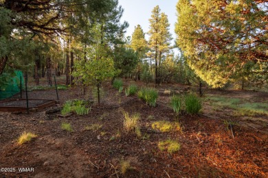 Nestled among the tall pines on the 8th fairway of Torreon's on Torreon Golf Club in Arizona - for sale on GolfHomes.com, golf home, golf lot