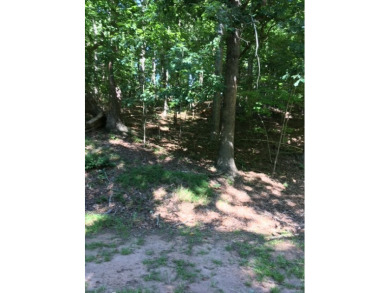 Great golf course lot with amazing views.  You will love the lot on The Trail At Chickasaw Pointe in South Carolina - for sale on GolfHomes.com, golf home, golf lot