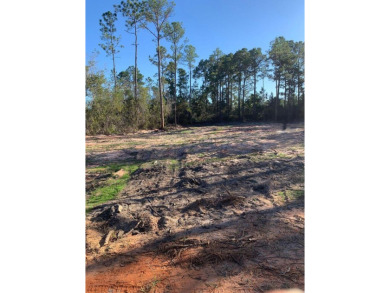 Build Your Dream Home in Holley by the Sea!
New Blacktop Road on The Club At Hidden Creek in Florida - for sale on GolfHomes.com, golf home, golf lot