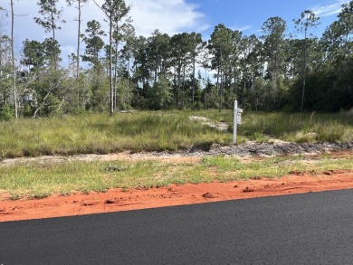Build Your Dream Home in Holley by the Sea!
New Blacktop Road!
 on The Club At Hidden Creek in Florida - for sale on GolfHomes.com, golf home, golf lot