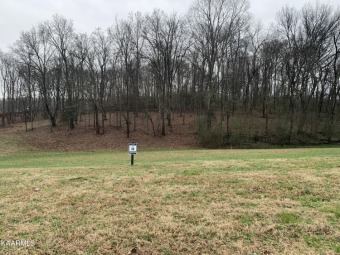 One of the best priced lots in TN National! Gently sloping lot on Tennessee National Golf Club in Tennessee - for sale on GolfHomes.com, golf home, golf lot