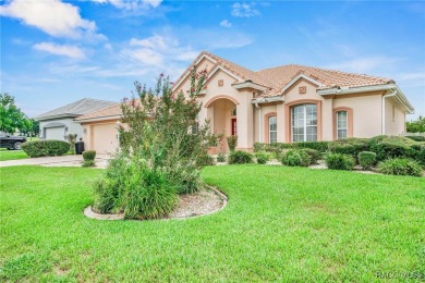 Look no further than this lovely home in the beautiful Terra on Skyview At Terra Vista Golf and Country Club in Florida - for sale on GolfHomes.com, golf home, golf lot