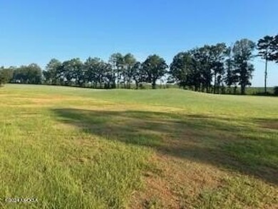 Beautifully leveled. 056 acre lot that backs up to fairway on Southern Hills Golf Club in Georgia - for sale on GolfHomes.com, golf home, golf lot