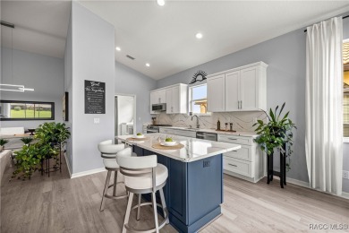 AMAZING SAVINGS on this One-of-a-Kind Remodeled Carefree Home in on Skyview At Terra Vista Golf and Country Club in Florida - for sale on GolfHomes.com, golf home, golf lot