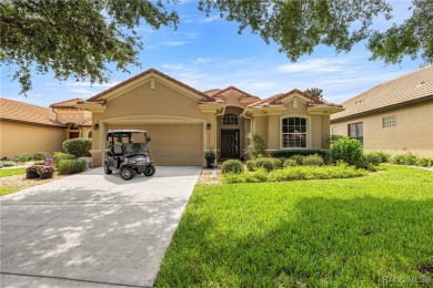 AMAZING SAVINGS on this One-of-a-Kind Remodeled Carefree Home in on Skyview At Terra Vista Golf and Country Club in Florida - for sale on GolfHomes.com, golf home, golf lot