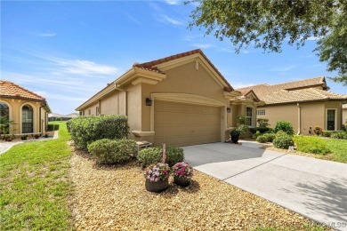 AMAZING SAVINGS on this One-of-a-Kind Remodeled Carefree Home in on Skyview At Terra Vista Golf and Country Club in Florida - for sale on GolfHomes.com, golf home, golf lot