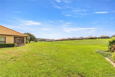 AMAZING SAVINGS on this One-of-a-Kind Remodeled Carefree Home in on Skyview At Terra Vista Golf and Country Club in Florida - for sale on GolfHomes.com, golf home, golf lot