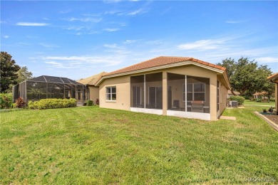 AMAZING SAVINGS on this One-of-a-Kind Remodeled Carefree Home in on Skyview At Terra Vista Golf and Country Club in Florida - for sale on GolfHomes.com, golf home, golf lot