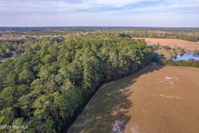 Larger 5 acre lot parcel heavily wooded adjacent to the Ocean on Sea Trail Golf Resort in North Carolina - for sale on GolfHomes.com, golf home, golf lot