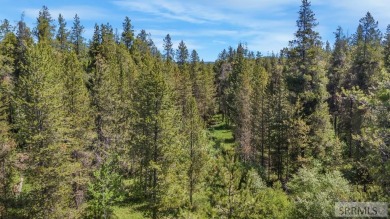 Beautiful 3-acre wooded lot located just off Cave Falls Road on Timberline Golf Course in Idaho - for sale on GolfHomes.com, golf home, golf lot