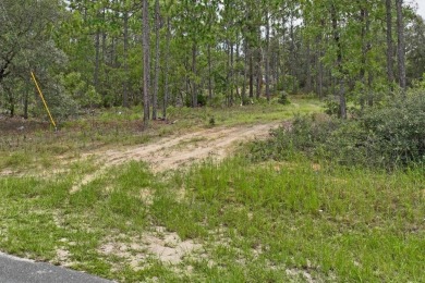 Build Your Dream Home on this Prime 10,000 sq ft Lot in Citrus on Citrus Springs Country Club in Florida - for sale on GolfHomes.com, golf home, golf lot