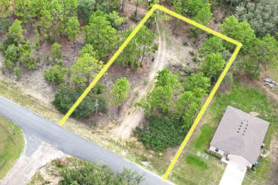 Build Your Dream Home on this Prime 10,000 sq ft Lot in Citrus on Citrus Springs Country Club in Florida - for sale on GolfHomes.com, golf home, golf lot