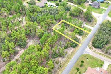 Build Your Dream Home on this Prime 10,000 sq ft Lot in Citrus on Citrus Springs Country Club in Florida - for sale on GolfHomes.com, golf home, golf lot