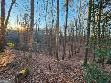 Gorgeous Cul-de-Sac Private Lot with Mountain Views in Buckhorn on White Path Golf Club in Georgia - for sale on GolfHomes.com, golf home, golf lot