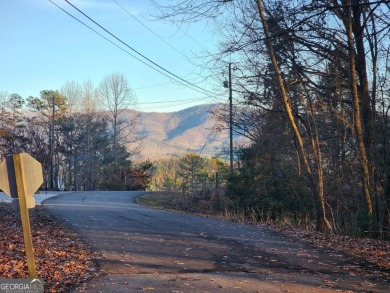 Gorgeous Cul-de-Sac Private Lot with Mountain Views in Buckhorn on White Path Golf Club in Georgia - for sale on GolfHomes.com, golf home, golf lot