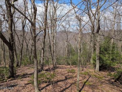 Breathtaking views are yours to enjoy at Blue Knob! 
This on Blue Knob Rec Area Golf Course in Pennsylvania - for sale on GolfHomes.com, golf home, golf lot