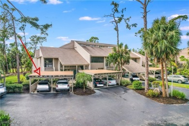 Stunning, fully remodeled Condo in The Forest Country Club! This on The Forest Country Club in Florida - for sale on GolfHomes.com, golf home, golf lot