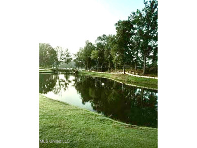 Beautifully updated 4 bedroom home is walking distance to the on Castlewoods Golf Club in Mississippi - for sale on GolfHomes.com, golf home, golf lot