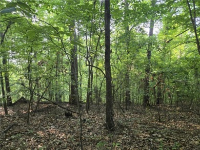 Welcome to your future homesite--nestled in the heart of on The Trail At Chickasaw Pointe in South Carolina - for sale on GolfHomes.com, golf home, golf lot