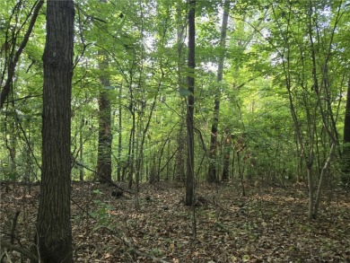 Welcome to your future homesite--nestled in the heart of on The Trail At Chickasaw Pointe in South Carolina - for sale on GolfHomes.com, golf home, golf lot