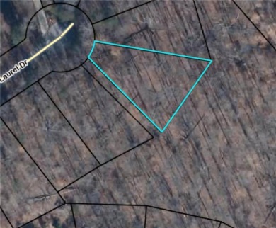 Welcome to your future homesite--nestled in the heart of on The Trail At Chickasaw Pointe in South Carolina - for sale on GolfHomes.com, golf home, golf lot