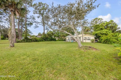 Beautifully updated 3 bed, 2 bath waterfront home with on New Smyrna Beach Golf Course in Florida - for sale on GolfHomes.com, golf home, golf lot