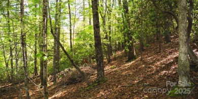 This lot presents a rare opportunity to build in a prime on Etowah Valley Golf Club in North Carolina - for sale on GolfHomes.com, golf home, golf lot