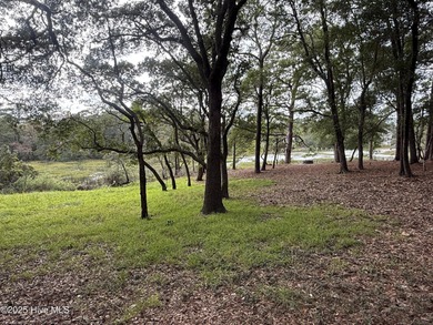 Welcome to 1748 Heron Point Road Southwest in Bent Tree on Brick Landing Plantation Yacht and Golf Club in North Carolina - for sale on GolfHomes.com, golf home, golf lot
